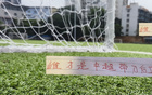 蔣圣龍VS提莫，誰為中超最佳帶刀中衛(wèi)