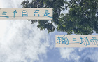 申花8月前僅敗三場，顯露霸氣。