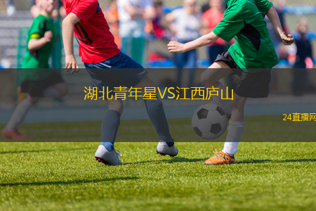 湖北青年星VS江西廬山