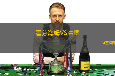 霍芬海姆VS洪堡