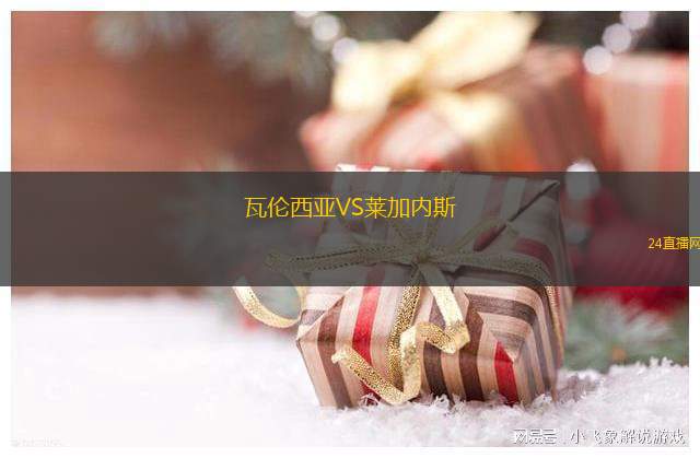 瓦倫西亞VS萊加內(nèi)斯